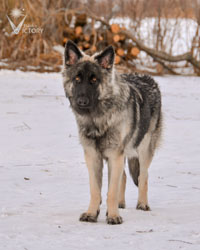Charger at 8 months
