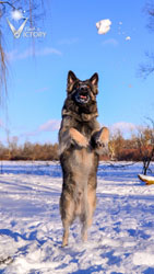 Charger jumping for a snowball