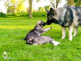 Luna meeting her half sister