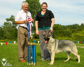 Hemi taking runner-up to Best In Show