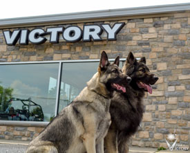 Piston and Hemi below a Victory (motorcycles) sign
