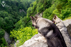 Piston and Hemi peeking into the valley