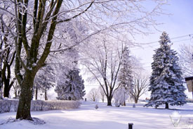Our side yard after a heavy snow fall
