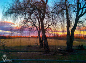 Winter sunset behind our house