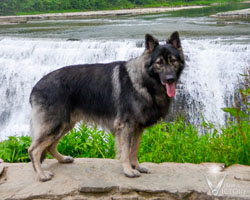 Piston by the falls