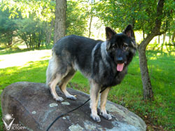 Piston standing on the rock