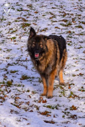 Hope smiling in the snow